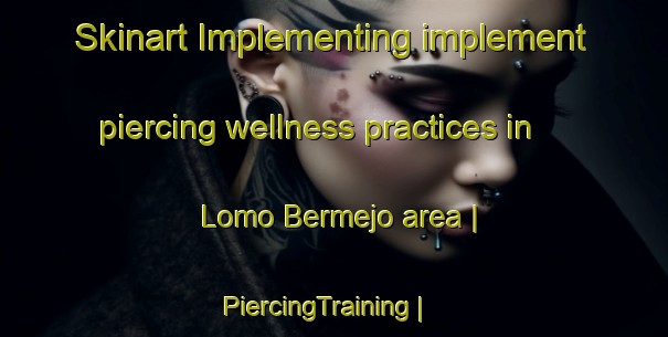 Skinart Implementing implement piercing wellness practices in Lomo Bermejo area | PiercingTraining | PiercingClasses | SkinartTraining-Spain